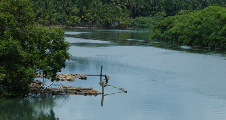 Kallayi Tourist Places in Kozhikode